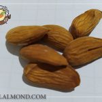 قیمت و خرید مغز بادام ایرانی خام درجه یک