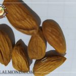تولید کننده بادام شاهرودی درجه یک سامان