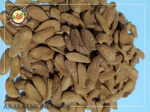 عرضه بی واسطه بادام شاهرودی