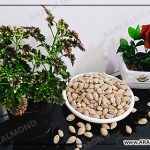قیمت و خرید بادام پوست کاغذی سامان و فروش آن