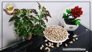 بادام درختی مناسب آجیل عید