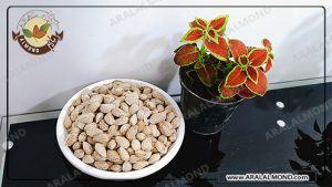 خرید فله ای مغز بادام از طریق اینترنت