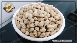 تولید انبوه بادام پوست کاغذی برای صادرات