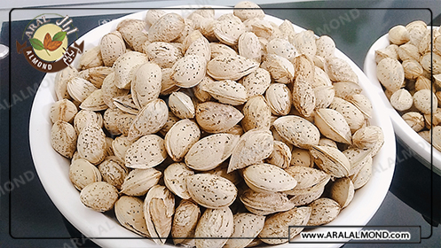 ارائه انواع بادام محب به صورت عمده