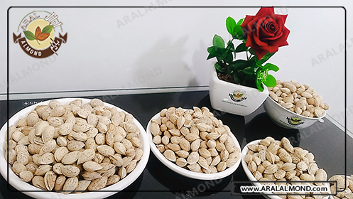 بادام درختی پوست کاغذی یا محب