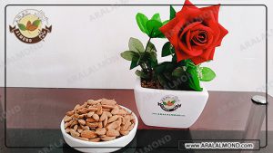 خواص باورنکردنی بادام تلخ برای سرطان