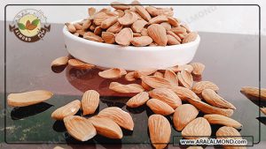 توزیع انبوه بادام مامایی صادراتی
