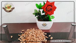 توزیع بهترین بادام مامایی به صورت اینترنتی