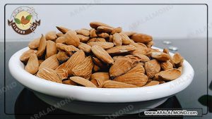 مرجع صادرات مغز بادام مامایی درشت