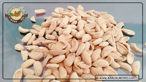 صادرات محصولات مغز بادام مامایی