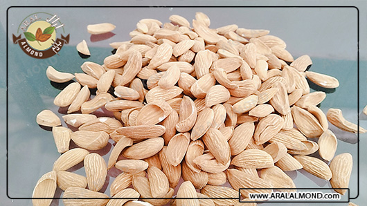 صادرات محصولات مغز بادام مامایی