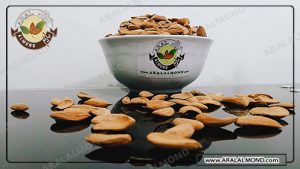 مرجع عرضه بادام درختی سامان