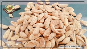 صادرات محصولات مغز بادام مامایی