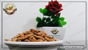 قیمت بادام مامایی صادراتی مرغوب اصفهان 1400 
