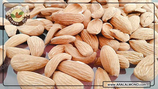خرید و فروش بادام درختی مامایی صادراتی سامان