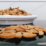 نمایندگی خرید مغز بادام ایرانی باکیفیت