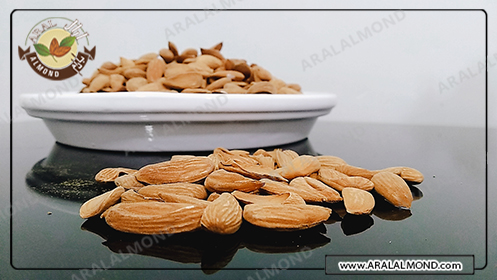 نمایندگی خرید مغز بادام ایرانی باکیفیت