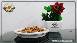 نمایندگی سفارش مغز بادام ایرانی در بازار
