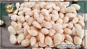 قیمت بادام شور با پوست کاغذی 