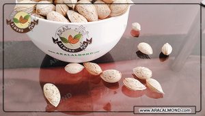 فروشنده معتبر بادام محب در ایران