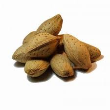 صادرات فله ای بادام مامایی با قیمت مناسب