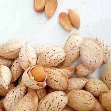 صادرات فله ای بادام مامایی با قیمت مناسب