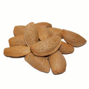 فروش بهترین بادام مامایی در ایران