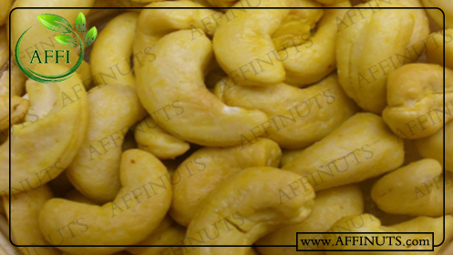 فروش بادام هندی با قیمت مناسب در آرال آلموند