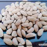 خرید بادام درختی ارزان در اصفهان