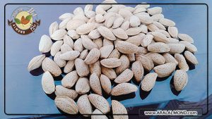 خرید بادام درختی ارزان در اصفهان