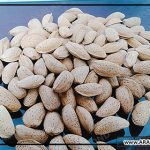 صادرات بادام شیرین درختی ایرانی