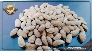 صادرات بادام شیرین درختی ایرانی