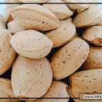 طبع بادام درختی در طب سنتی