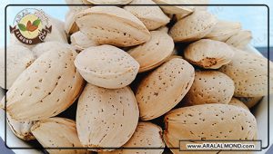 طبع بادام درختی در طب سنتی