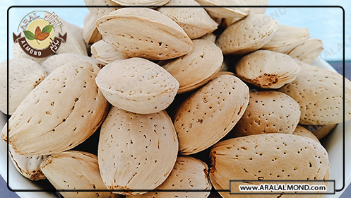 طبع بادام درختی در طب سنتی