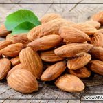 فروش مغز بادام شیرین چرب برای روغن