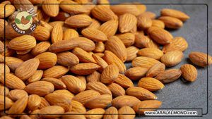 شناخت انواع بادام درختی و فروشگاه بادام آرال
