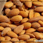 خرید بادام مامایی سامان در اصفهان