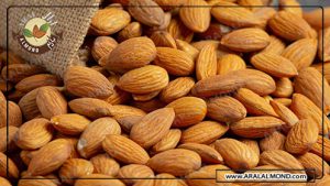 خرید بادام مامایی سامان در اصفهان