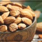 قیمت بادام مامایی شهرکرد صادراتی