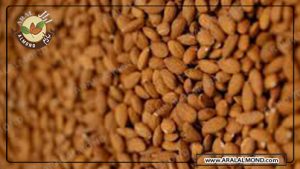 فروش بادام درختی صادراتی با پوست
