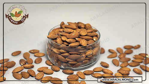 مشخصات ظاهری بادام هندی