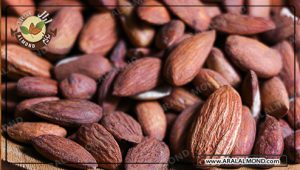 خرید بادام درختی صادراتی ارزان و مرغوب