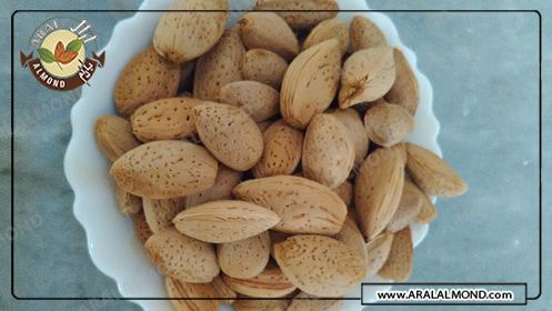 صادرات بادام شیرین درختی ایرانی