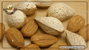 قیمت مغز بادام شاهرودی و فروش عمده آن