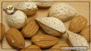 صادرات بادام شیرین درختی ایرانی