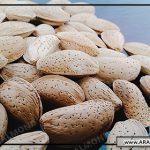 قیمت خرید بادام مامایی صادراتی سامان