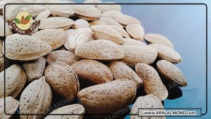قیمت خرید بادام مامایی صادراتی سامان