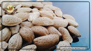 قیمت خرید بادام مامایی صادراتی سامان