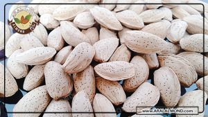 تاثیر بادام تلخ برای سرطان 